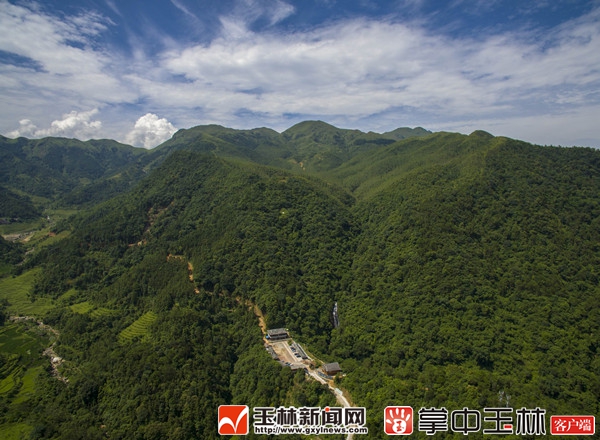 景区内原生态的景色郁郁葱葱,在不同高度,欣赏到不同的景观:梯田,树木、高山草甸……