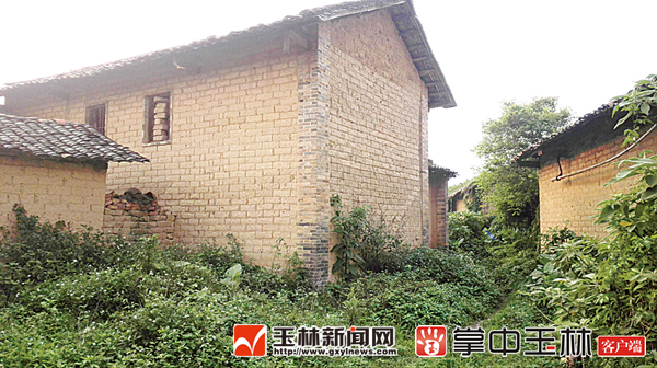 QQ图片20180604101714_副本.png